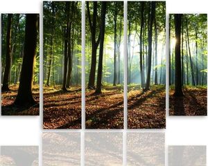 Feeby Obraz pięcioczęściowy na płótnie Canvas, pentaptyk typ B, Promienie słońca w lesie 150x100 1
