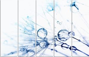 Feeby Obraz pięcioczęściowy na płótnie Canvas, pentaptyk typ C, Krople wody na dmuchawcu 2 100x70 1