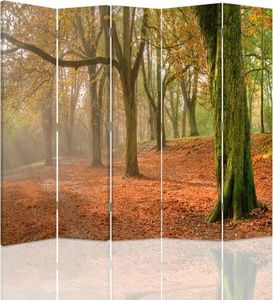 Feeby Parawan pokojowy, pięcioczęściowy, dwustronny, na płótnie Canvas, Jesień w lesie 180x180 1