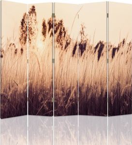 Feeby Parawan pokojowy, pięcioczęściowy, dwustronny, na płótnie Canvas, Wysokie trawy 180x180 1