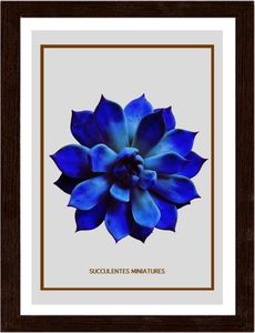 Feeby Obraz w ramie brązowej, Niebieski kaktus 60x90 1