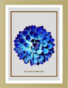 Feeby Obraz w ramie naturalnej, Niebieski kaktus 4 30x40 1