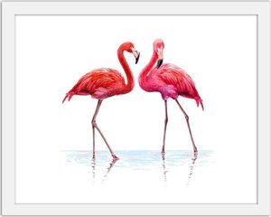 Feeby Obraz w ramie białej, Realistyczna ilustracja flamingów stojacych w wodzie 90x60 1