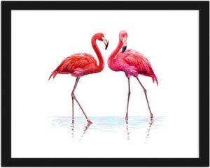 Feeby Obraz w ramie czarnej, Realistyczna ilustracja flamingów stojacych w wodzie 50x40 1