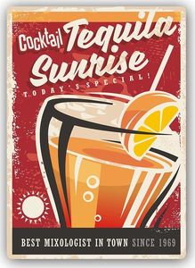 Feeby Wydruk na metalu, Retro – tequilla sunrise 40x60 1