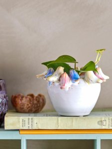 Usorteret CREATIVE COLLECTION Eanna Osłonka na doniczkę Wielokolorowy Ceramika 3