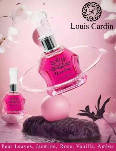 Louis Cardin Louis Cardin Elixir Pink Eau De Parfum 100 ml 2
