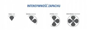 Bispol Wosk zapachowy BISPOL Aura wz40-2-169 (Kwitnący jaśmin) 2szt. 3