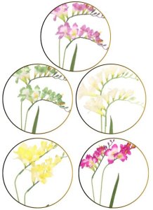 Direct Home and Garden Sztuczny kwiat frezja mix kolorów 62 cm 5