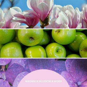 Millefiori Uzupełniacz do pałeczek MILLEFIORI Milano Magnolia Blossom & Wood 250ml 2