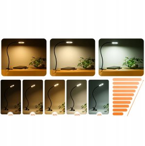 Lampka biurkowa LED Lampa biurkowa LED z klipsem DML5, czarny 3
