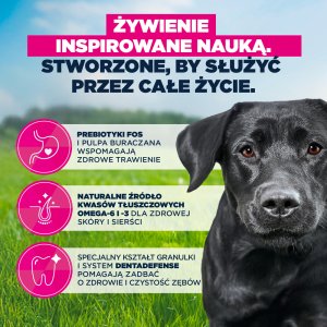 Eukanuba EUKANUBA Active Adult Medium Breed Chicken 12kg 4