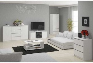 Fabryka Mebli Akord Szafka rtv, stolik, Nova, 140x40x55 cm, biel, mat | TYLETEGOTU 2