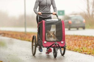 Trixie Zestaw Jogger, dla psa, do przyczepki rowerowej #12782 8