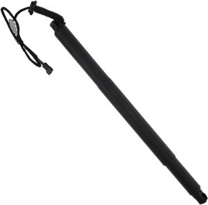 Einparts Automotive Silnik elektryczny Siłownik elektryczny (EPGSA008) 1 SZT 2