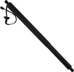 Einparts Automotive Siłownik elektryczny EPGSA038, 1 szt. 2