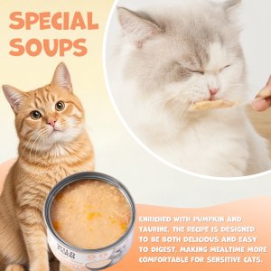 SOUL FARM WILD FARM Special Soup 80g Sensitive 4