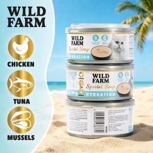 SOUL FARM WILD FARM Special Soup 80g Hydration aromatyczna zupka 9