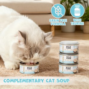 SOUL FARM WILD FARM Special Soup 80g Hydration aromatyczna zupka 10