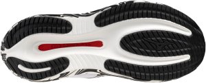 Mizuno Buty Wave Rider 30 Disclosure (J1GU262381) 2