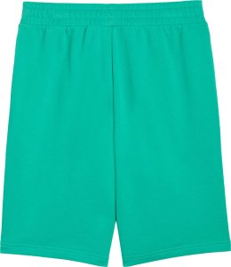 Puma Spodenki męskie ESS No.1 Logo 10" (s) zielone 682595 40 M 3