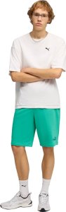Puma Spodenki męskie ESS No.1 Logo 10" (s) zielone 682595 40 s 5
