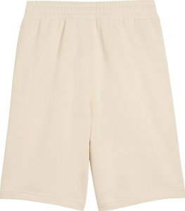 Puma Spodenki męskie ESS No.1 Logo 10" (s) beżowe 682595 87 2XL 2