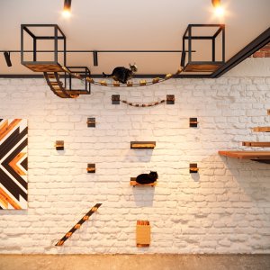 QLS Kociostrada Loft XXL dla kota ścienna i sufitowa mostki drapak hamak meble (11163) 3