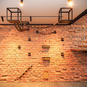 QLS Kociostrada Loft XXL dla kota ścienna i sufitowa mostki drapak hamak meble (11163) 4