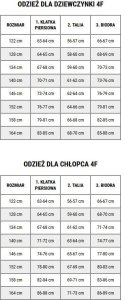 4f Koszulka dla dziewczynki F1658 fioletowa 4FJWMM00TTSHF1658 51S 134cm 5
