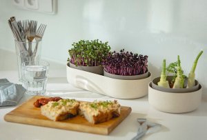 Zestaw do uprawy mikroliści 30.5x16 cm beżowy URBALIVE Microgreens 6