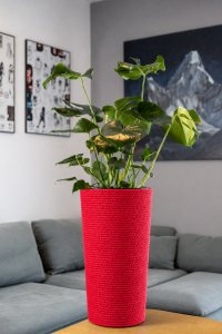 Adoni Doniczka bawełniana czerwona z wkładem 57 cm – ręcznie robiona (adoni-ba-red-57) 3