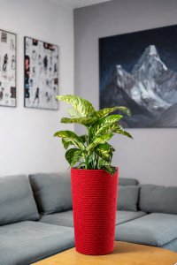 Adoni Doniczka bawełniana czerwona z wkładem 47 cm – ręcznie robiona (adoni-ba-red-47) 3