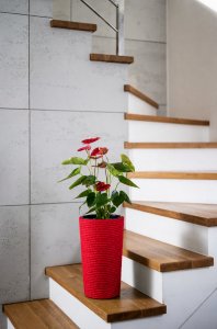 Adoni Doniczka bawełniana czerwona z wkładem 36 cm – ręcznie robiona (adoni-ba-red-36) 2