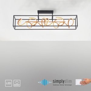 Lampa sufitowa Belideco LED Selina 6473-18 Paul Neuhaus 6