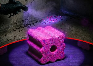 NO PEST Trutka trucizna na szczury myszy gryzonie fluo środek gryzoniobójczy kostka czerwona fluorescencyjna świecąca brodifakum 3kg 4
