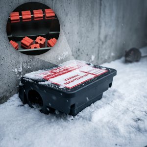 NO PEST Trutka trucizna na szczury myszy gryzonie fluo środek gryzoniobójczy kostka czerwona fluorescencyjna świecąca brodifakum 3kg 6