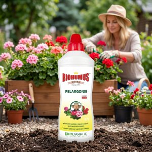 EkoDarPol Biohumus* Extra Pelargonia 0,7L (5906142984145) 10