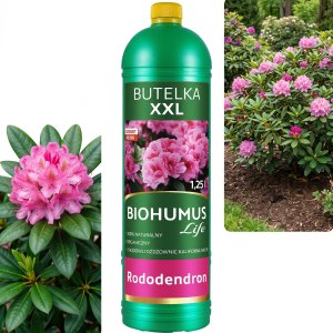 EkoDarPol BIOHUMUS* LIFE Rododendron 1,25L (5906142984084) 2