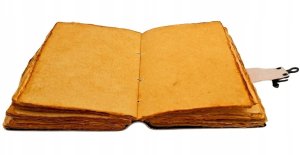 Geepap Oy Notes Skórzany Vintage Retro 200 stron - Skóra Kozia - Drzewo Życia - AH18 2