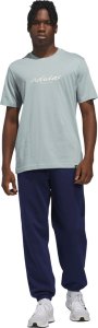 Adidas Koszulka męska Color Connect Graphic szara KE1314 XL 6
