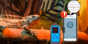 Regulator wilgotności Inkbird IHC-200 Wifi 7