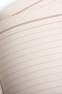 Make Notes Notes Field Notes Lucky 3 Pack Księgi Rachunkowe (FNC-70) 2