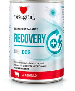Disugual Karma mokra dla psa Weterynaryjna RECOVERY Jagnięcina (dorosły) 12x400g 2