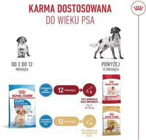 Royal Canin Medium Puppy 4kg karma sucha dla szczeniąt, od 2 do 12 miesiąca, ras średnich 11