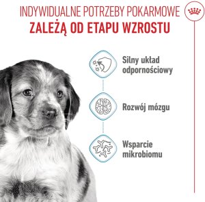 Royal Canin Medium Puppy 4kg karma sucha dla szczeniąt, od 2 do 12 miesiąca, ras średnich 5