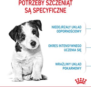 Royal Canin Mini Puppy 2kg karma sucha dla szczeniąt, od 2 do 10 miesiąca życia, ras małych 5