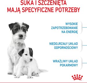 Royal Canin Mini Starter Mother & Babydog 1kg karma sucha dla suk w ciąży i okresie laktacji oraz szczeniąt, od 4 do 8 tygodnia, ras małych 5