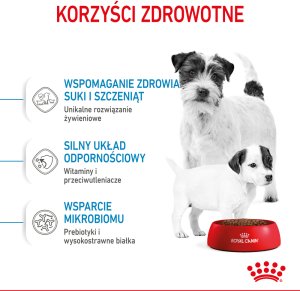 Royal Canin Mini Starter Mother & Babydog 1kg karma sucha dla suk w ciąży i okresie laktacji oraz szczeniąt, od 4 do 8 tygodnia, ras małych 6