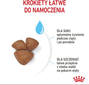 Royal Canin Mini Starter Mother & Babydog 1kg karma sucha dla suk w ciąży i okresie laktacji oraz szczeniąt, od 4 do 8 tygodnia, ras małych 7